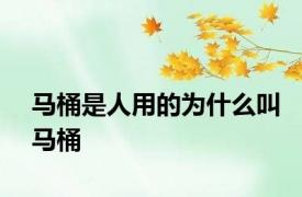马桶是人用的为什么叫马桶