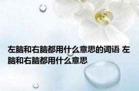 左脑和右脑都用什么意思的词语 左脑和右脑都用什么意思