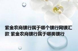 紫金农商银行属于哪个银行网银汇款 紫金农商银行属于哪类银行