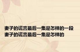 妻子的谎言最后一集是怎样的一段 妻子的谎言最后一集是怎样的