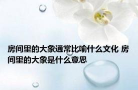 房间里的大象通常比喻什么文化 房间里的大象是什么意思