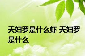 天妇罗是什么虾 天妇罗是什么