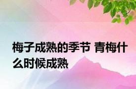 梅子成熟的季节 青梅什么时候成熟