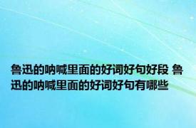 鲁迅的呐喊里面的好词好句好段 鲁迅的呐喊里面的好词好句有哪些