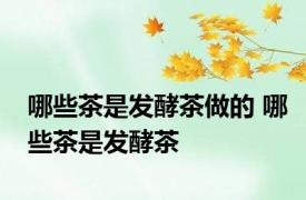 哪些茶是发酵茶做的 哪些茶是发酵茶