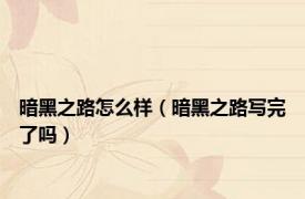 暗黑之路怎么样（暗黑之路写完了吗）