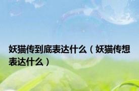 妖猫传到底表达什么（妖猫传想表达什么）