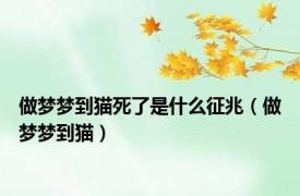 做梦梦到猫死了是什么征兆（做梦梦到猫）