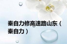 秦自力修高速路山东（秦自力）