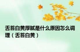 舌苔白黄厚腻是什么原因怎么调理（舌苔白黄）
