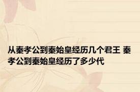 从秦孝公到秦始皇经历几个君王 秦孝公到秦始皇经历了多少代