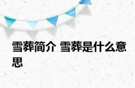 雪葬简介 雪葬是什么意思