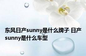 东风日产sunny是什么牌子 日产sunny是什么车型