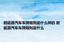 新能源汽车车牌规则是什么样的 新能源汽车车牌规则是什么
