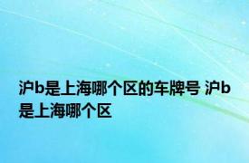 沪b是上海哪个区的车牌号 沪b是上海哪个区