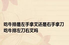 吃牛排是左手拿叉还是右手拿刀 吃牛排左刀右叉吗