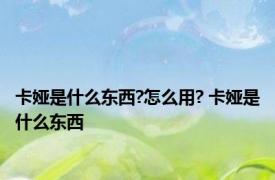 卡娅是什么东西?怎么用? 卡娅是什么东西