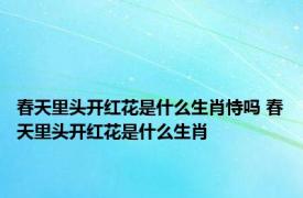 春天里头开红花是什么生肖恃吗 春天里头开红花是什么生肖