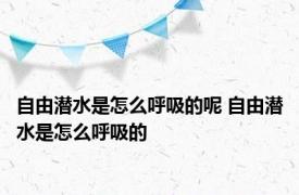 自由潜水是怎么呼吸的呢 自由潜水是怎么呼吸的