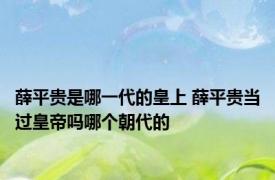 薛平贵是哪一代的皇上 薛平贵当过皇帝吗哪个朝代的