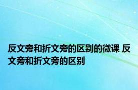 反文旁和折文旁的区别的微课 反文旁和折文旁的区别