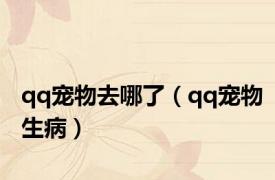qq宠物去哪了（qq宠物生病）