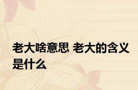 老大啥意思 老大的含义是什么