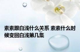 素素跟白浅什么关系 素素什么时候变回白浅第几集