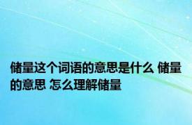 储量这个词语的意思是什么 储量的意思 怎么理解储量