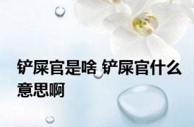 铲屎官是啥 铲屎官什么意思啊