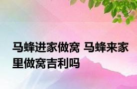 马蜂进家做窝 马蜂来家里做窝吉利吗