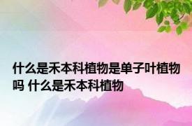 什么是禾本科植物是单子叶植物吗 什么是禾本科植物