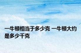 一牛顿相当于多少克 一牛顿大约是多少千克