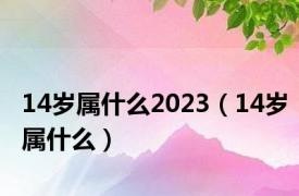 14岁属什么2023（14岁属什么）