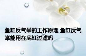 鱼缸反气举的工作原理 鱼缸反气举能用在底缸过滤吗
