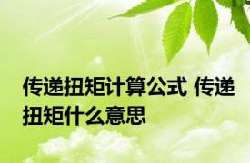 传递扭矩计算公式 传递扭矩什么意思