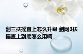 剑三扶摇直上怎么升级 剑网3扶摇直上到底怎么用啊