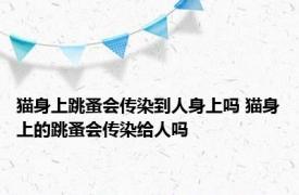 猫身上跳蚤会传染到人身上吗 猫身上的跳蚤会传染给人吗
