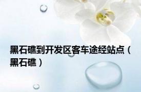 黑石礁到开发区客车途经站点（黑石礁）