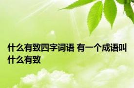 什么有致四字词语 有一个成语叫什么有致