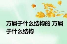 方属于什么结构的 方属于什么结构