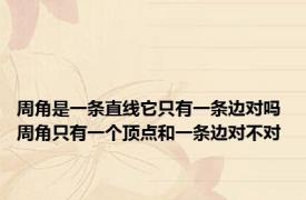 周角是一条直线它只有一条边对吗 周角只有一个顶点和一条边对不对