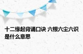十二缘起背诵口诀 六根六尘六识是什么意思