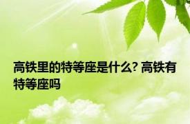 高铁里的特等座是什么? 高铁有特等座吗