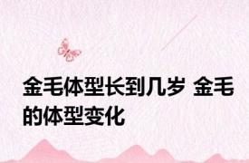 金毛体型长到几岁 金毛的体型变化