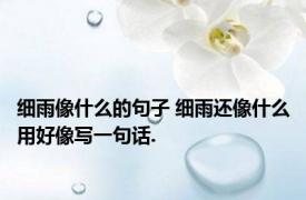 细雨像什么的句子 细雨还像什么用好像写一句话.