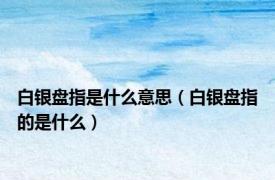 白银盘指是什么意思（白银盘指的是什么）