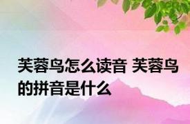 芙蓉鸟怎么读音 芙蓉鸟的拼音是什么