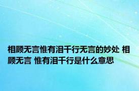 相顾无言惟有泪千行无言的妙处 相顾无言 惟有泪千行是什么意思