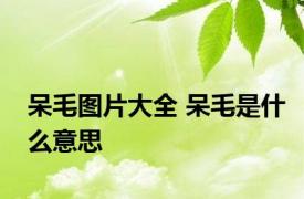 呆毛图片大全 呆毛是什么意思